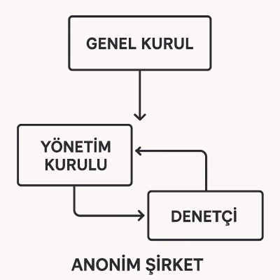 Anonim Şirketin üç temel organını (Genel Kurul, Yönetim Kurulu, Denetçi) ve aralarındaki ilişkiyi gösteren bir organizasyon şeması.