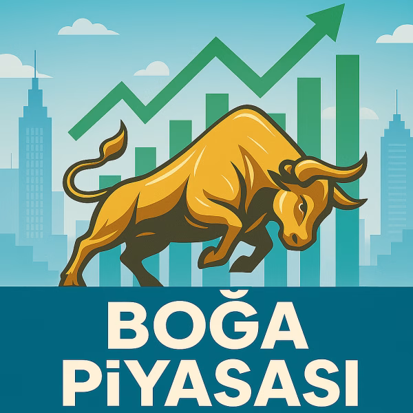Boğa Piyasası Nedir?
