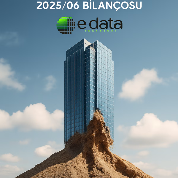 E-Data bilanço analizi