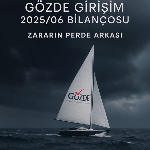 Gözde Girişim Bilanço Analizi