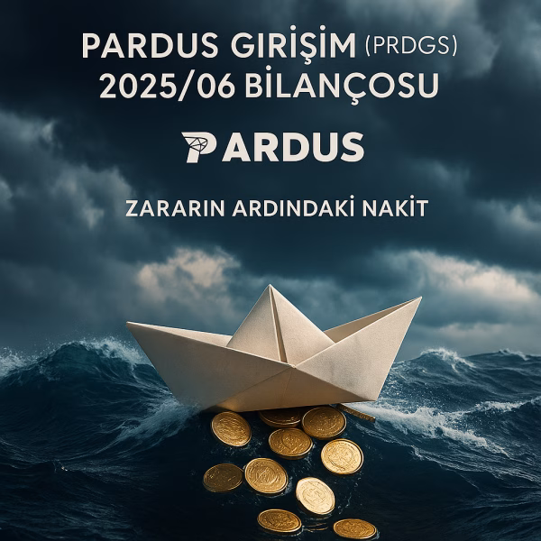 Pardus Girişim bilanço analizi
