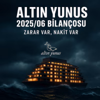 Altın Yunus'un Bilanço Paradoksu