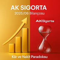 Ak Sigorta Bilanço Analizi