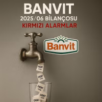 Banvit 2025 Bilanço Analizi