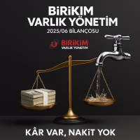 Birikim Varlık Bilanço Analizi