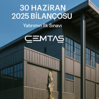 Çemtaş bilanço analizi