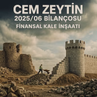 Cem Zeytin 2025 ikinci çeyrek bilanço analizini temsil eden finansal kale inşaatı konsept kapak görseli.