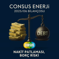 Consus Enerji Bilanço Analizi
