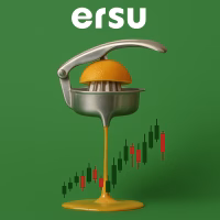 Ersu bilanço analizi