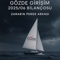 Gözde Girişim Bilanço Analizi