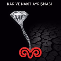 Koç Holding Bilanço Analizi