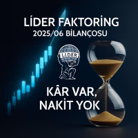 lider faktoring bilanço analizi