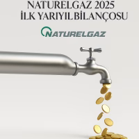 Naturelgaz Nakit Motoru
