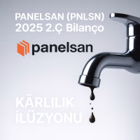 Panelsan bilanço analizi