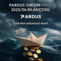 Pardus Girişim bilanço analizi