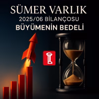 Sümer Varlık Bilanço Analizi