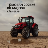 Tümosan 2025 ilk yarı bilanço analizini temsil eden, serap metaforlu konsept kapak görseli.
