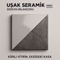 Uşak Seramik Bilanço Analizi