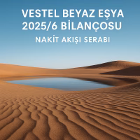 Vestel Beyaz Eşya 2025 ilk yarı bilanço analizini temsil eden, buzdolabı ve sızıntı metaforlu konsept kapak görseli.