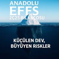 Anadolu Efes 2025 ikinci çeyrek bilanço analizini temsil eden buzdağı metaforlu kapak görseli.